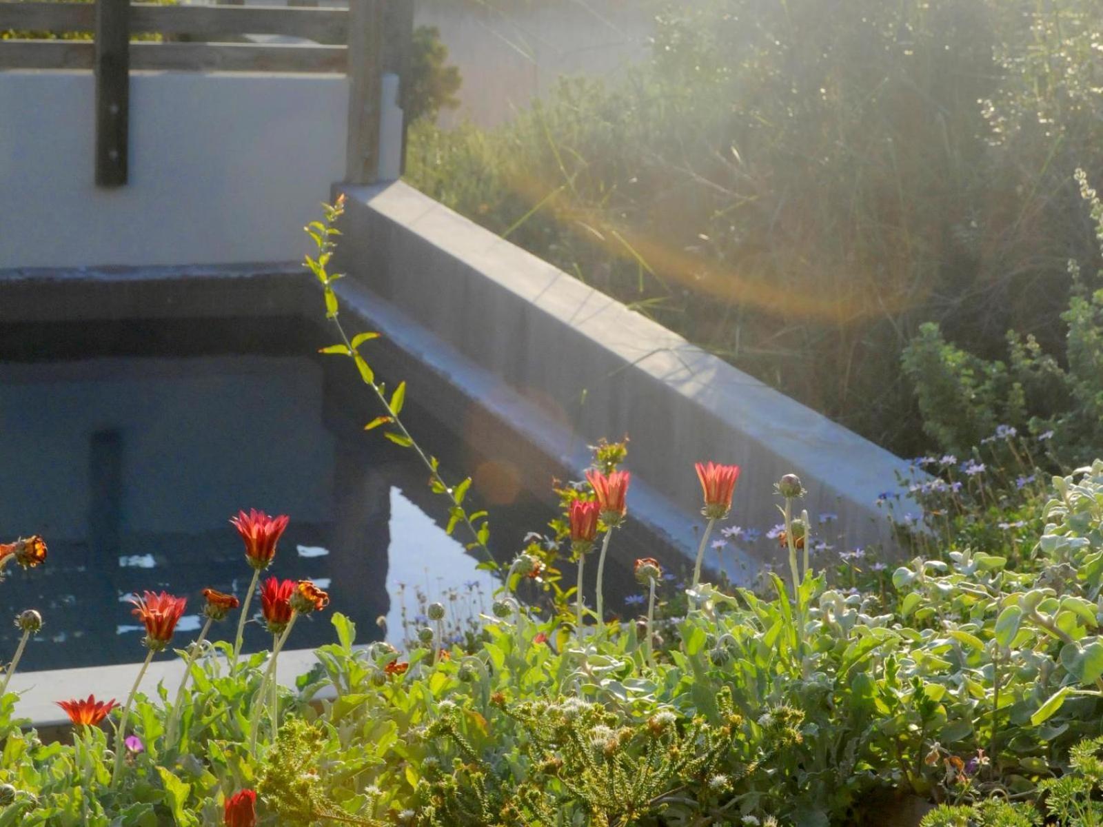 Christiana Lodge Plettenberg Bay Pokój zdjęcie